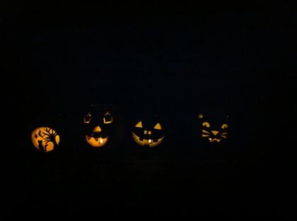 Group Pumpkins